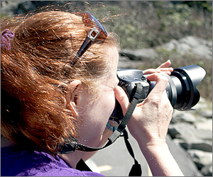 Nature Photographer Meta Gatschenberger