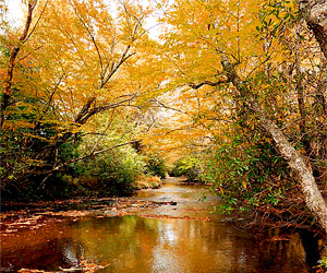 Photos By Meta - Boone Fork Stream